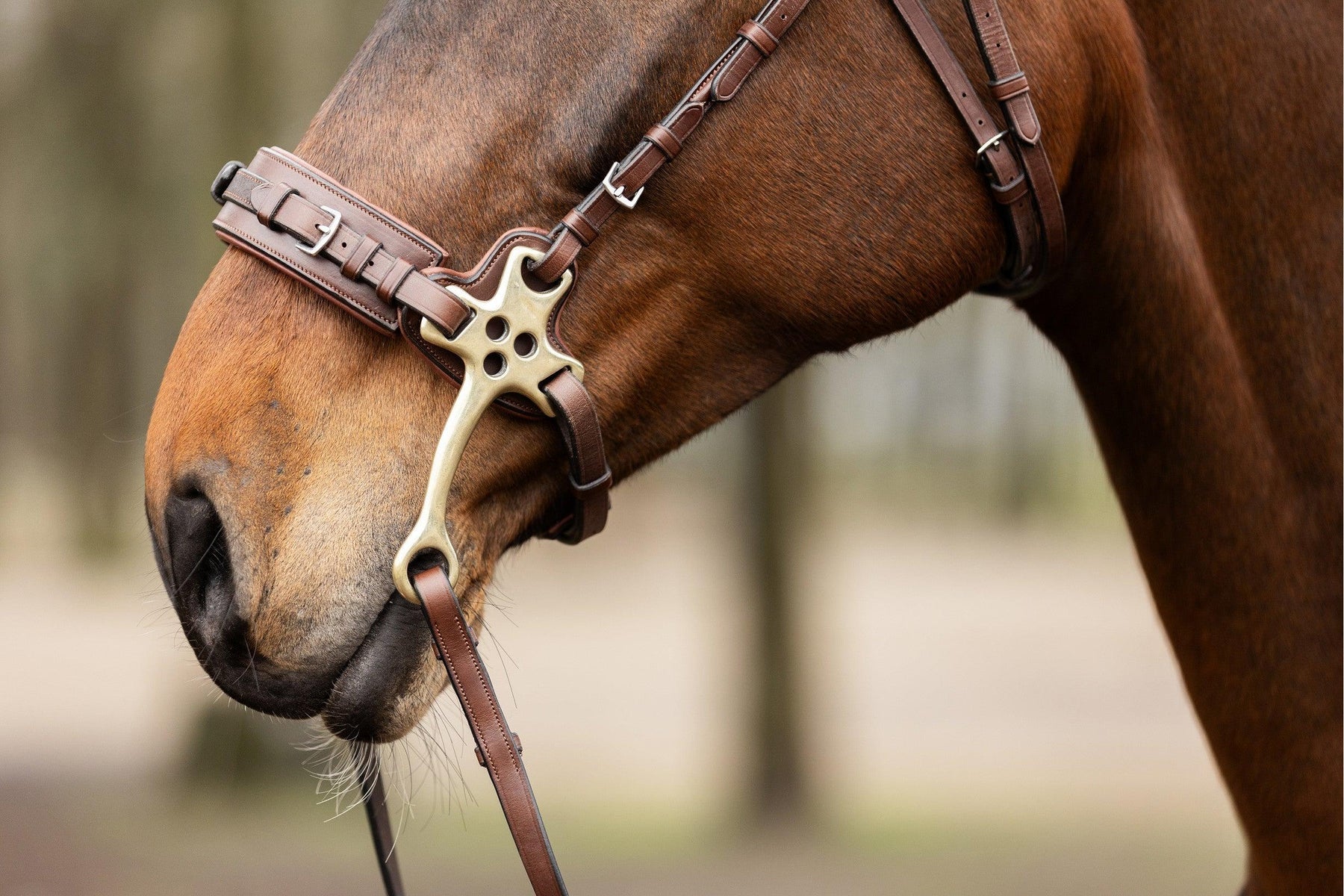 Trust Hackamore Noseband With Cheeks 16 cm Black/Silver Cob