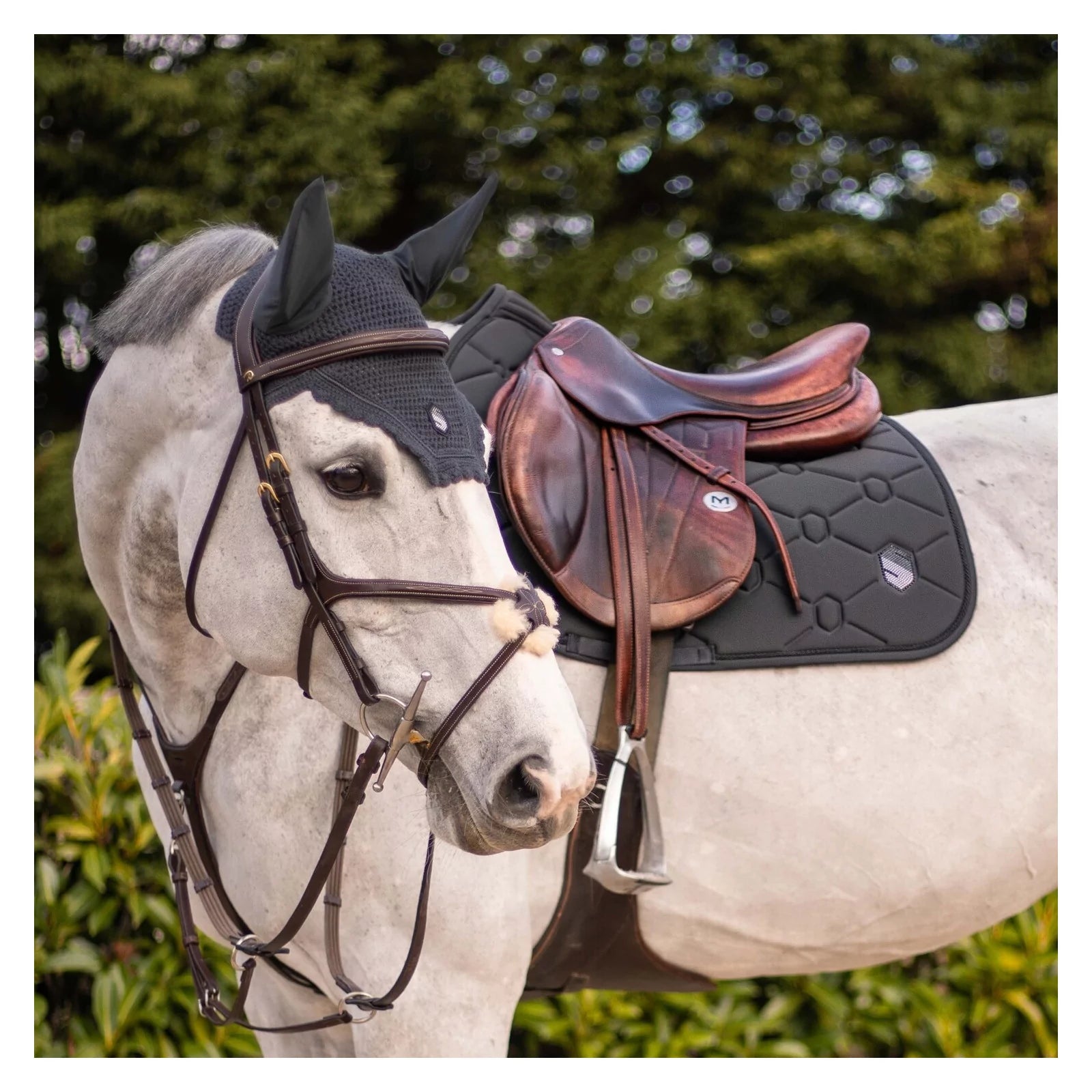 Samshield Soundshield Swarovski Horse Fly Veil
