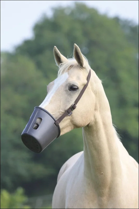 Hard Plastic Muzzle