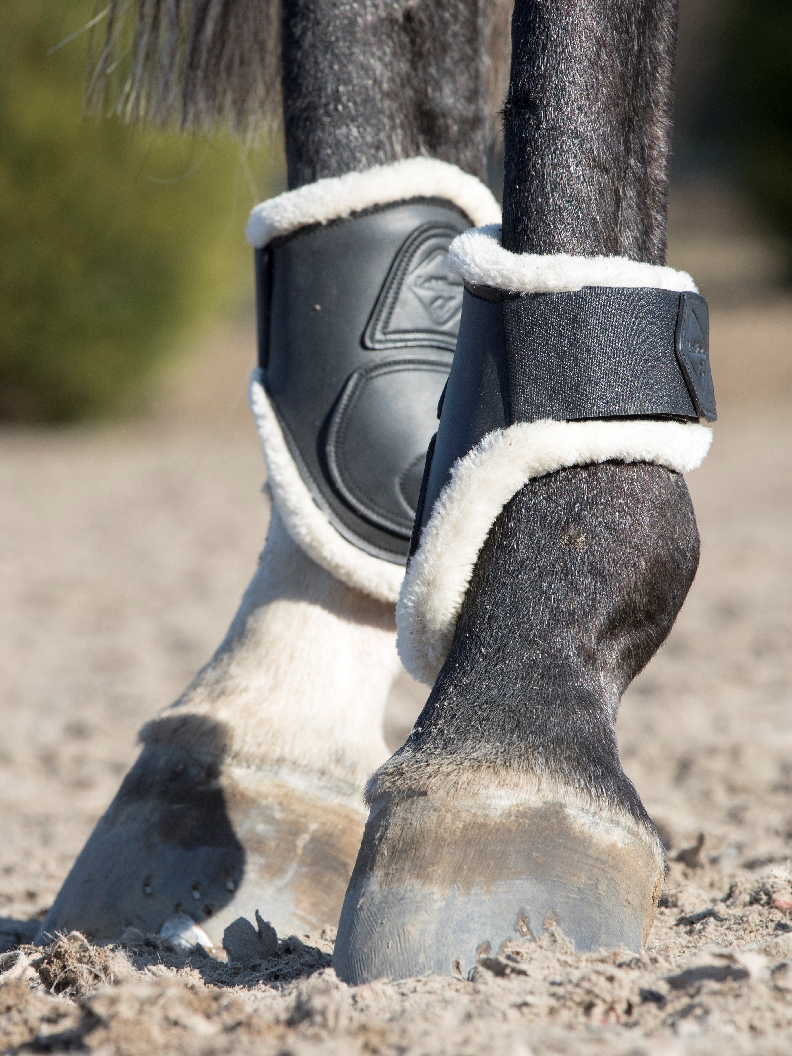LeMieux Capella Comfort Fetlock Boot Black