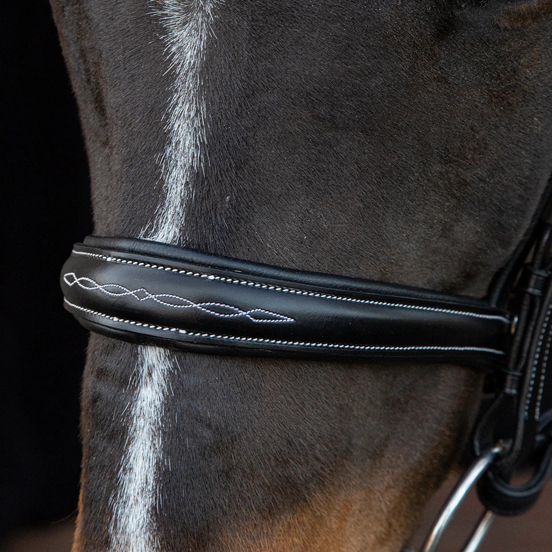 Schockemöhle Monza F Bridle - Black