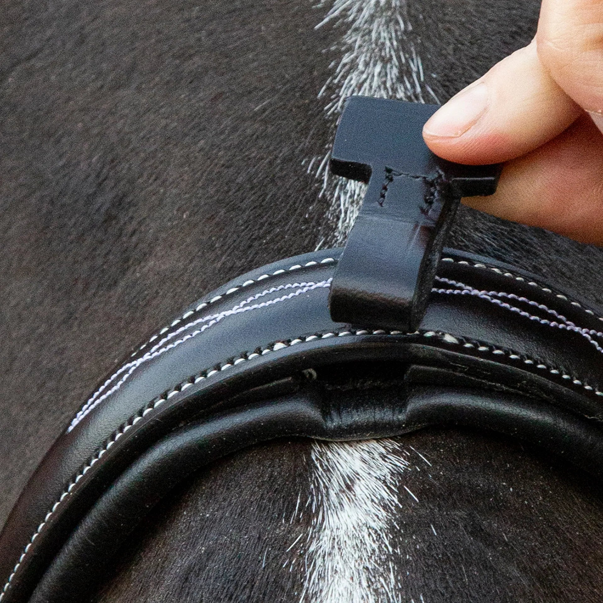 Schockemöhle Monza F Bridle - Black