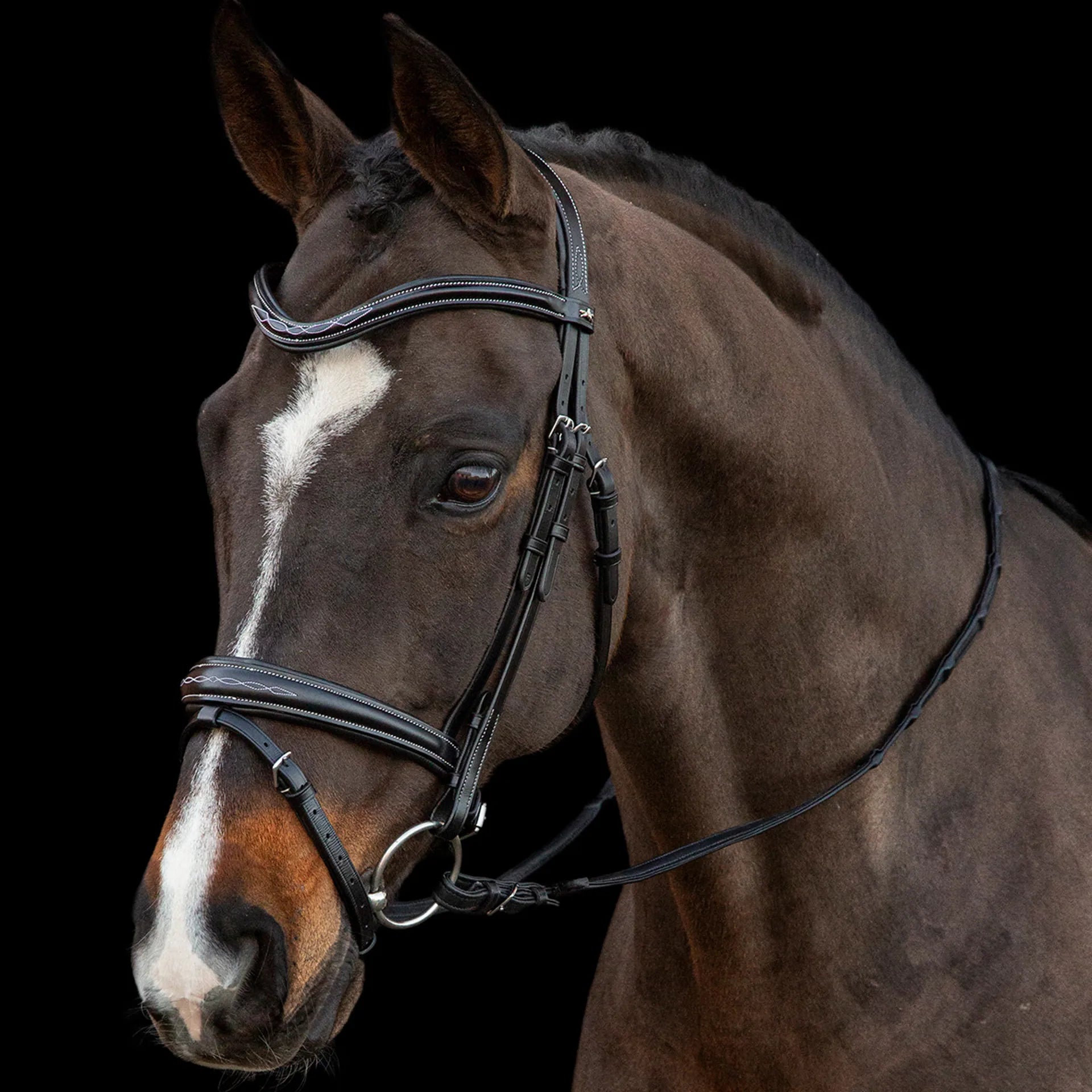Schockemöhle Monza F Bridle - Black