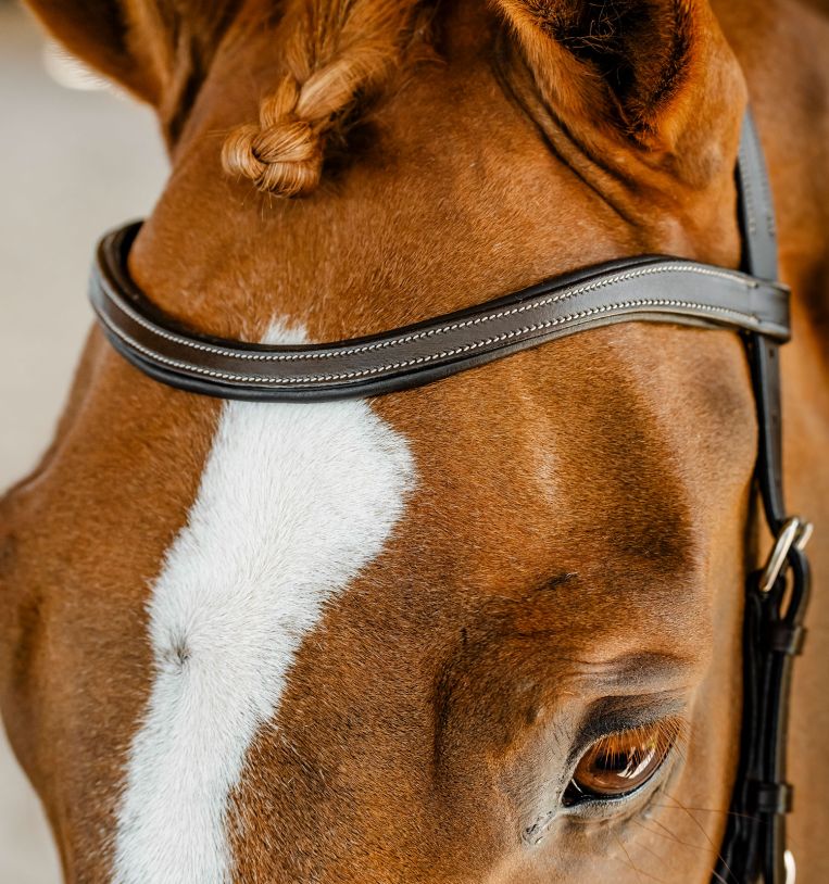 Horseware Micklem Competition Bridle - Black