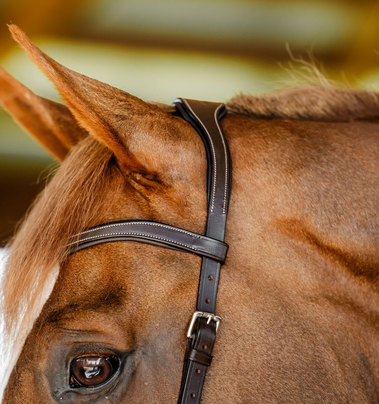 Horseware Micklem Competition Bridle - Black