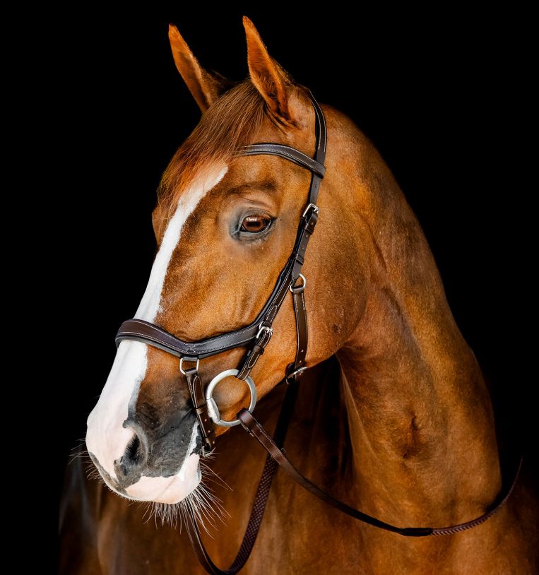 Horseware Micklem Competition Bridle - Black