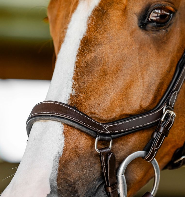 Horseware Micklem Competition Bridle - Black