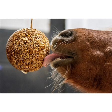 Likit Granola Stall Ball Horse Treat - Peppermint - 1.6kg