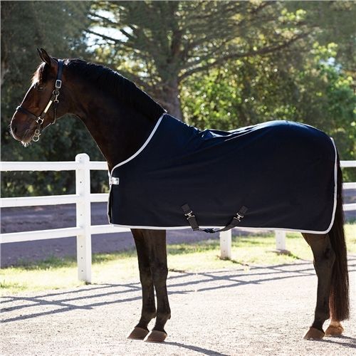 HW Amigo Jersey Navy