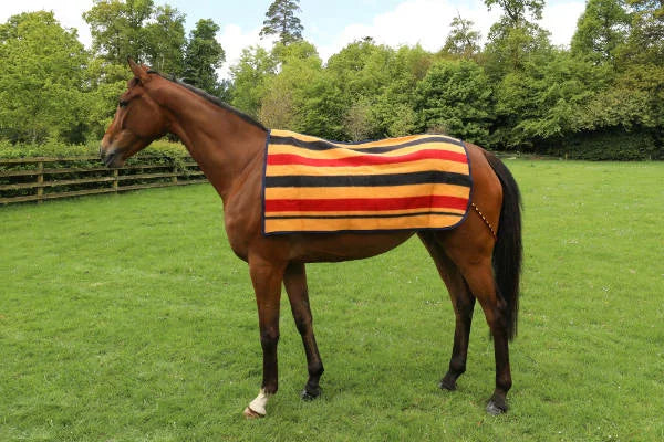 Breeze Up Wool Newmarket Ex Sheet