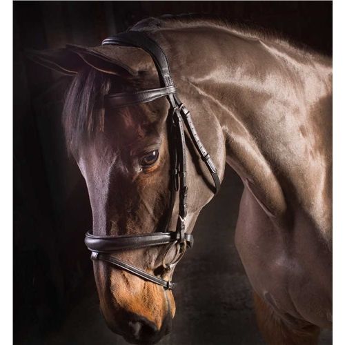 EcoRider Ecolux Bridle Brown