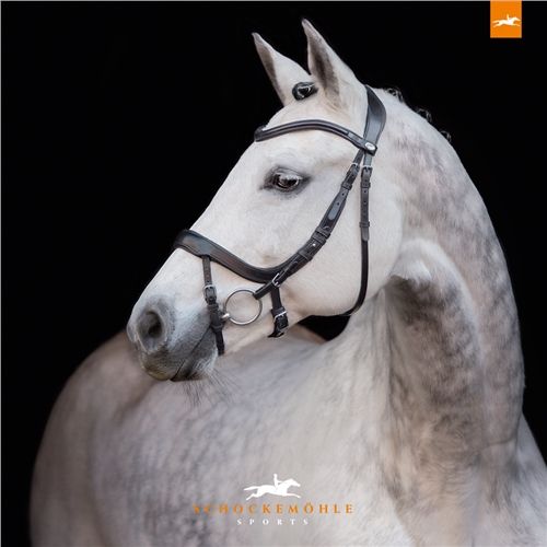 Schockemohle Equitus Alpha Bridle