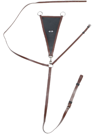 Zilco  Syn Bib Martingale Brown