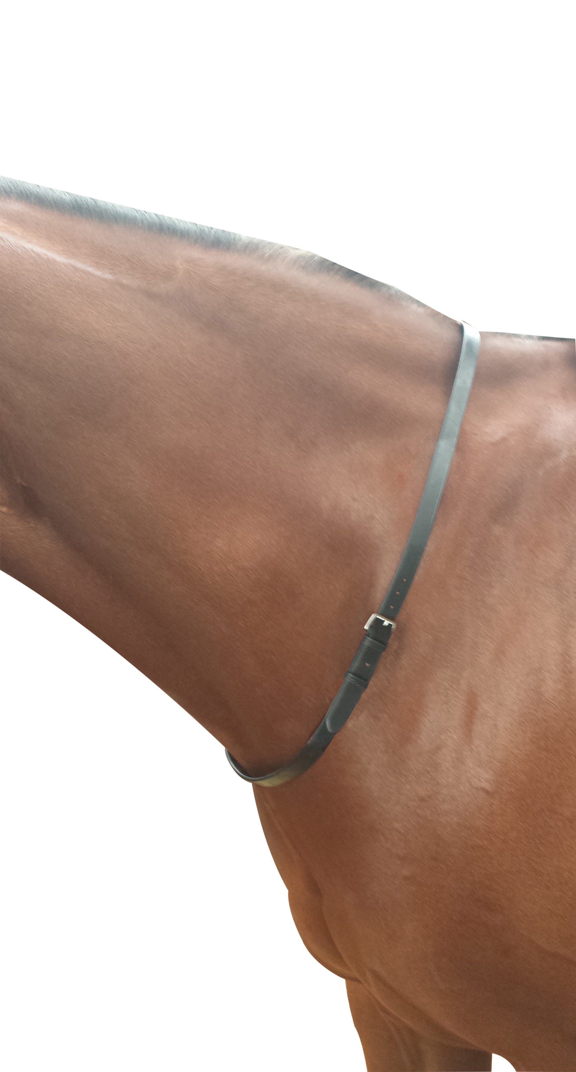 Kincade  Neck Strap - Black