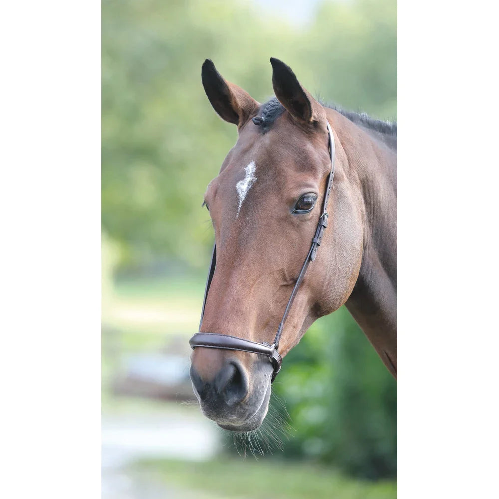 Drop Noseband - Brown