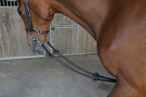 Breeze Up Bungee Martingale - Brown