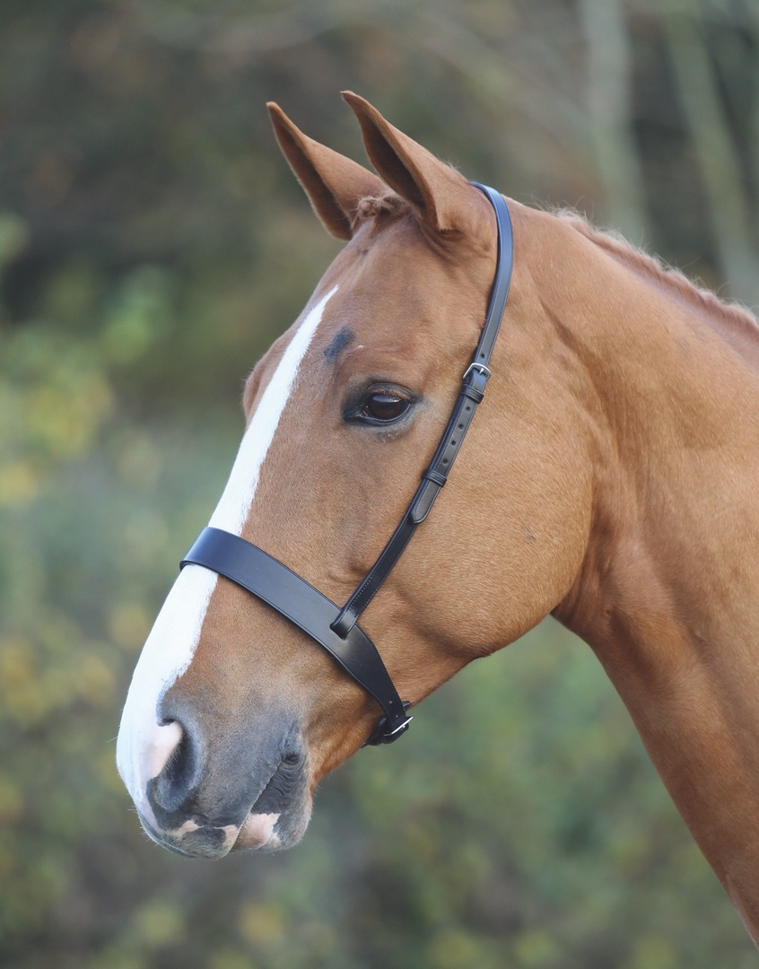 Flat Hunt Noseband Xwide  - Black