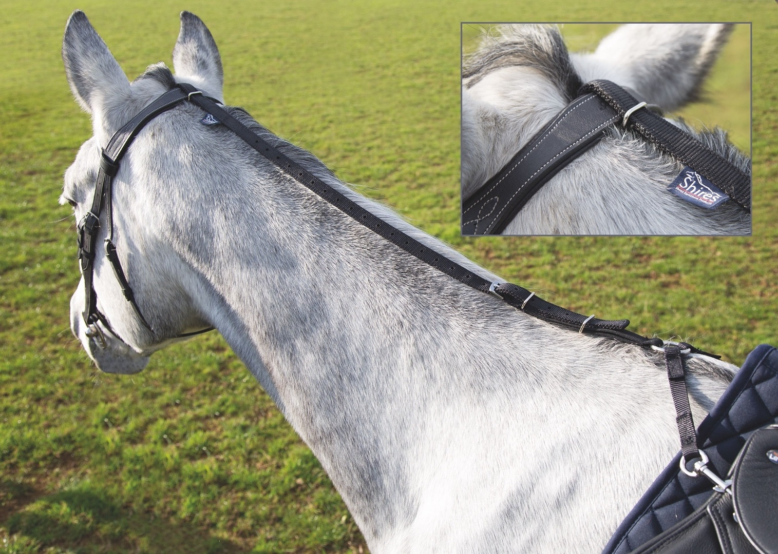 Daisy Rein Black (Anti Grazing)