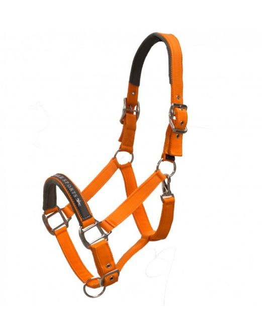 Schockemöhle Memphis Headcollar
