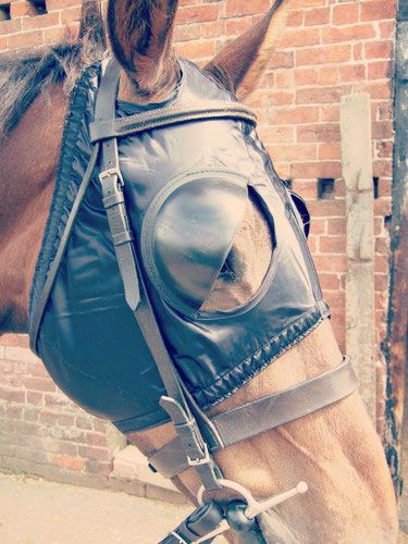 Racesafe Blinkers - Black