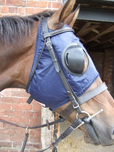 Racesafe Visors