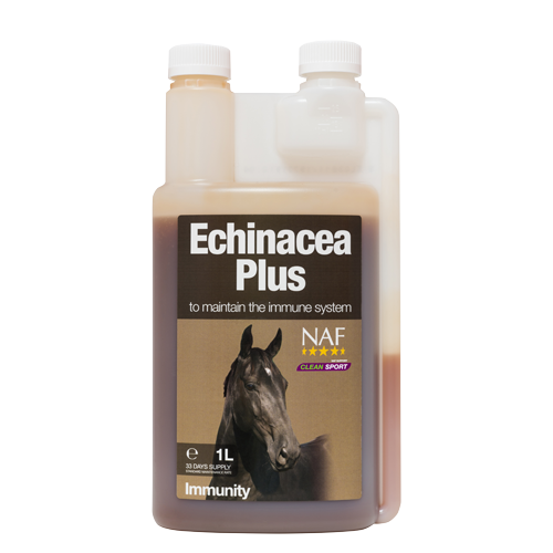 Echinacea Plus - 1L