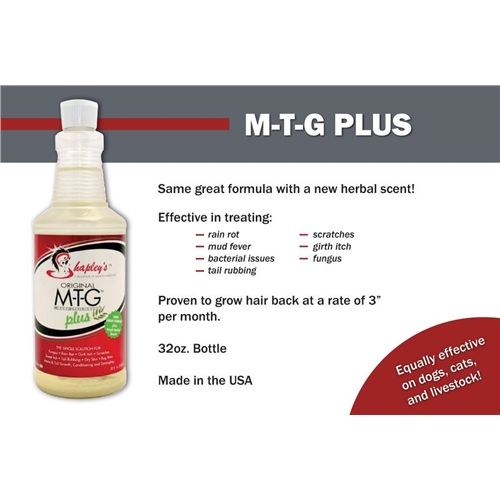 Shapleys Original MTG Plus