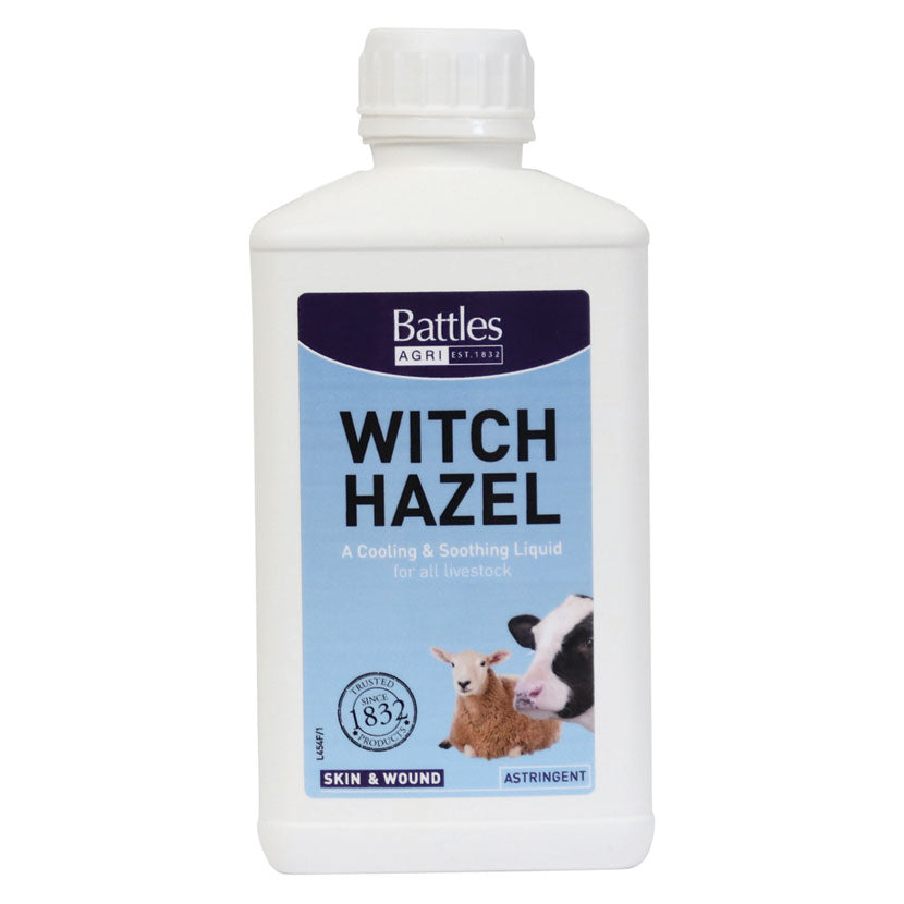 Witch Hazel