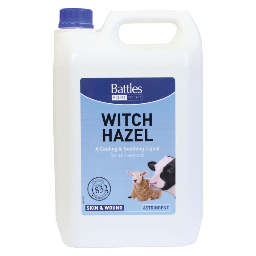 Witch Hazel