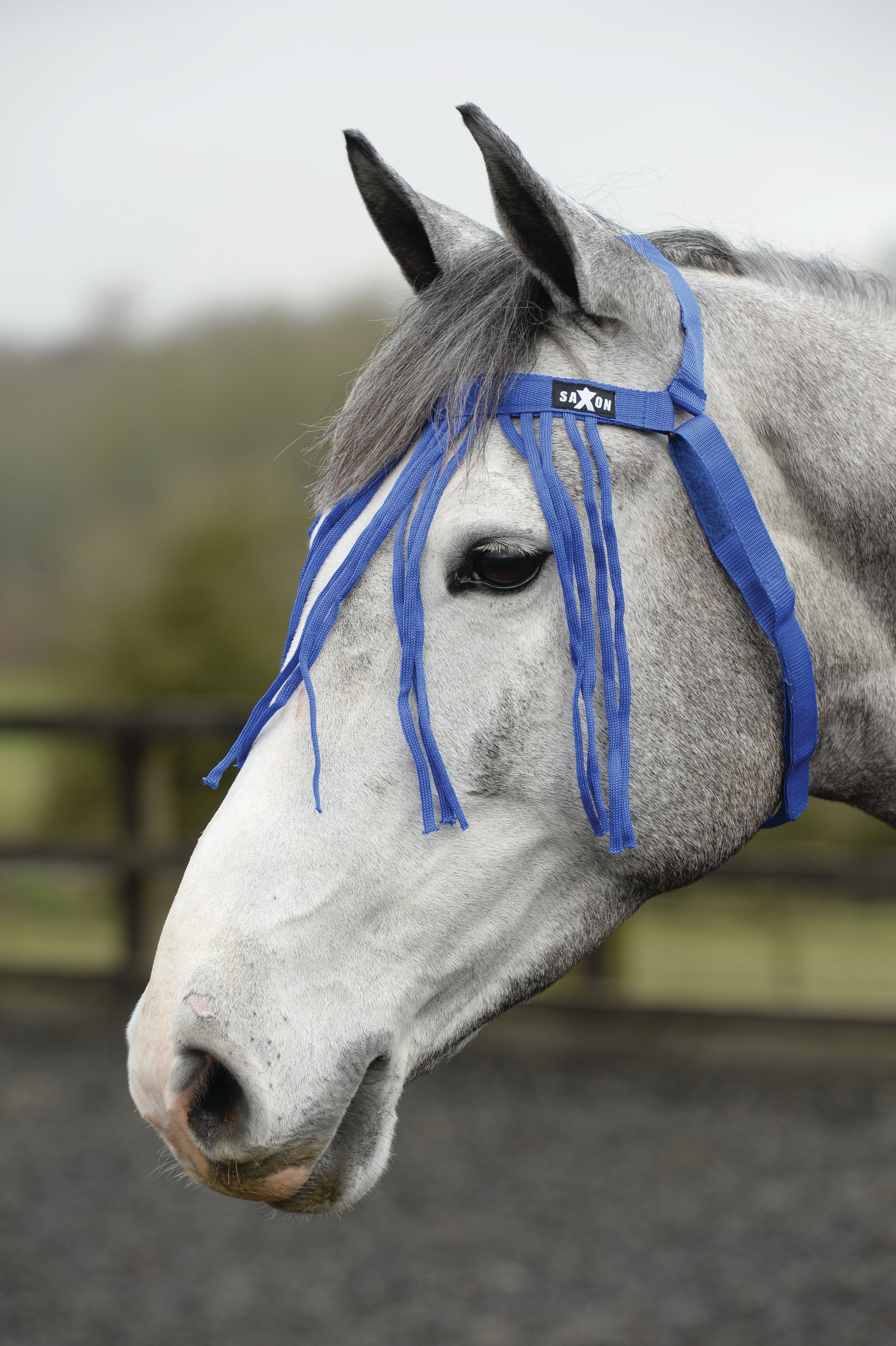 Saxon Fly Fringe Blue
