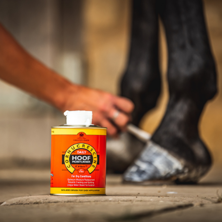 Cornucrescine Daily Hoof Moisturiser 500ml