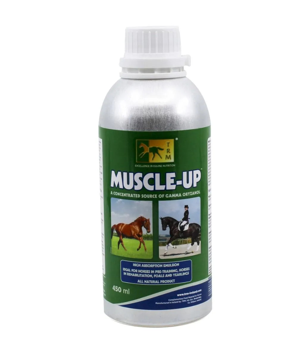 Muscle-Up