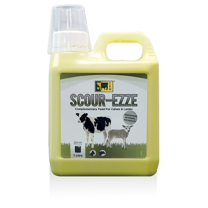 Scour-ezze 1lt