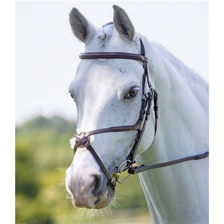 Velociti RAPIDA Grackle Bridle