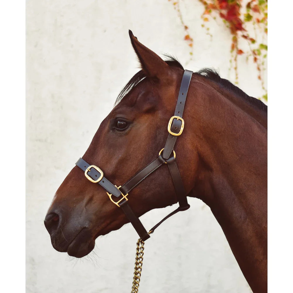 Mackey Classic Leather Headcollar