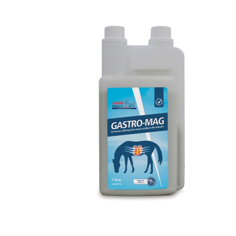 Gastro Mag 1LT
